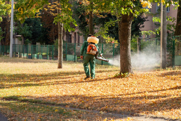 Wasp Removal Services in Duenweg, MO