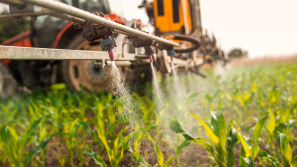 Best Mosquito Control Services  in Duenweg, MO